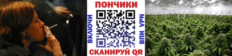 Купить  Сретенск  Конопля сатива 